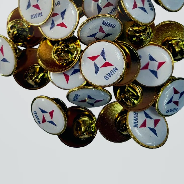 Pines metálicos personalizados — categoría PinsPro Chile