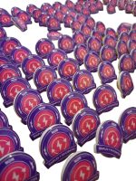 Pin con base acrílica troquelado a la forma del logo — PinsPro Chile
